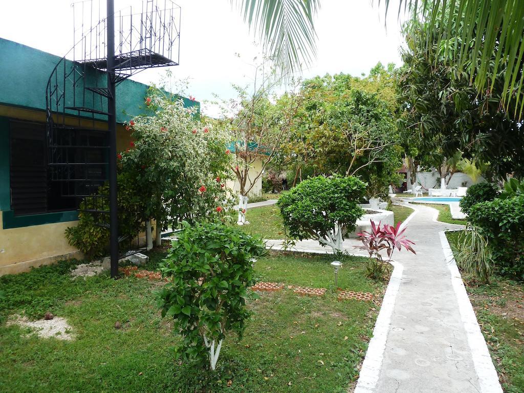 Amigos Hostel Cozumel Eksteriør billede