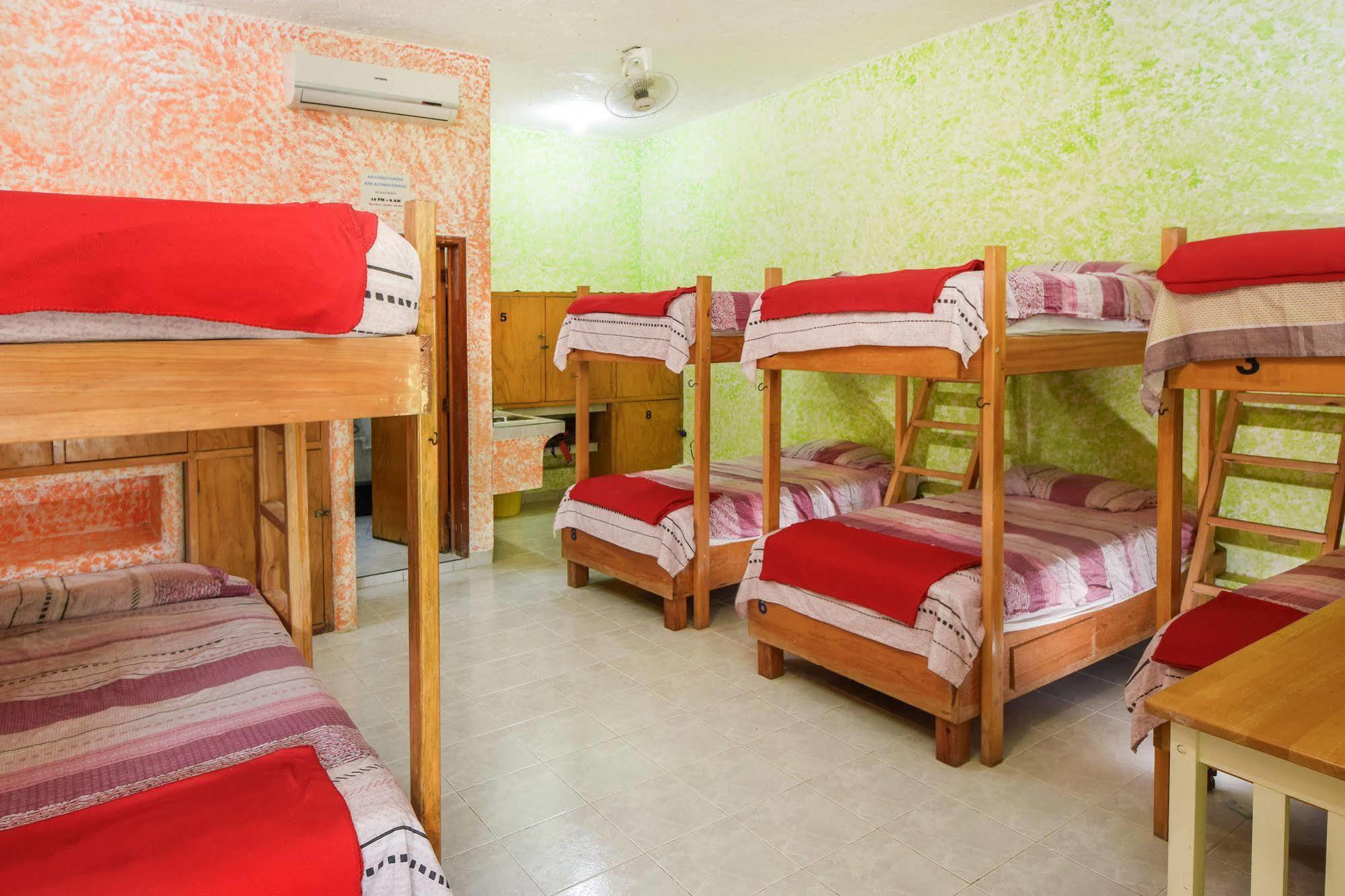Amigos Hostel Cozumel Vandrerhjemsenge billede