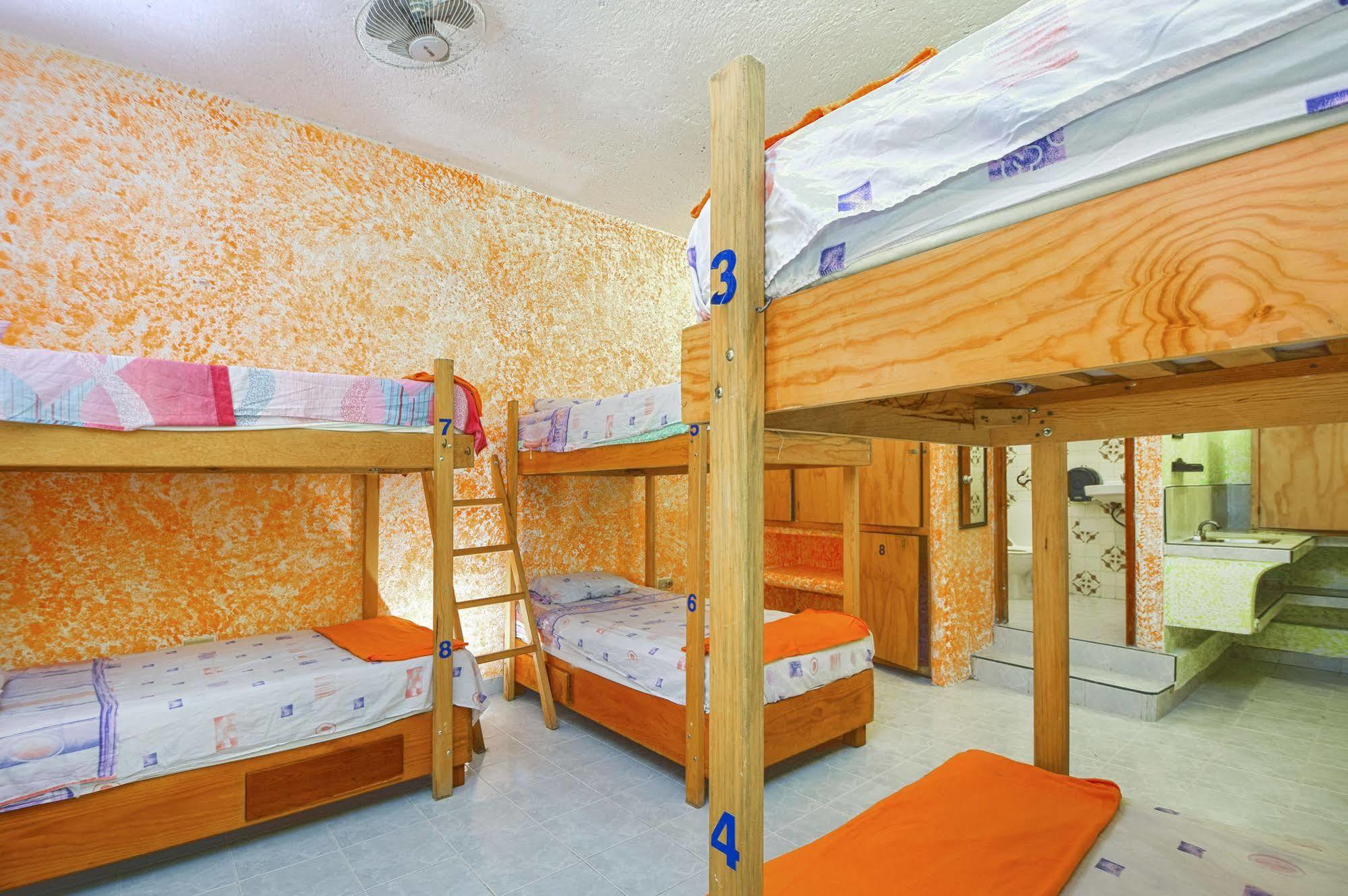 Amigos Hostel Cozumel Eksteriør billede