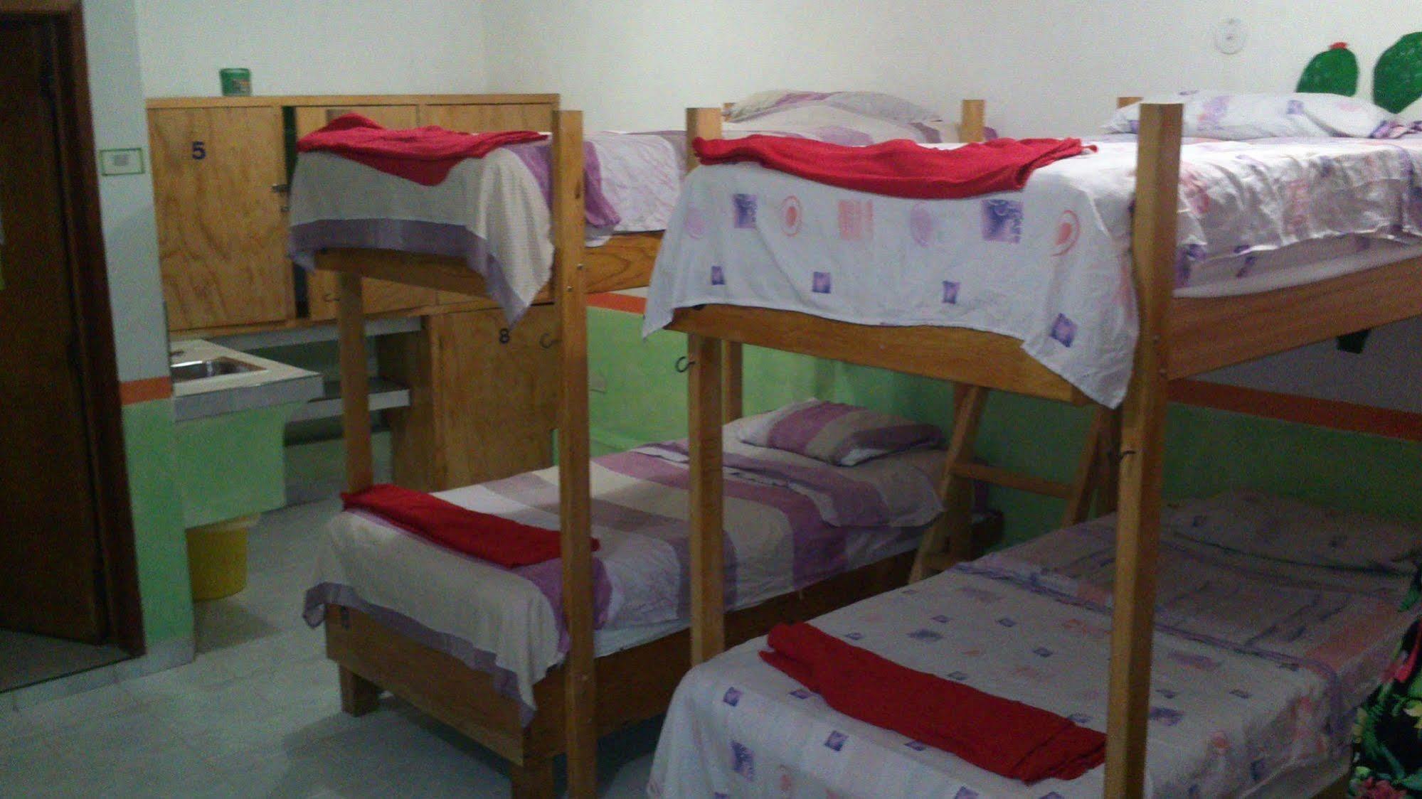 Amigos Hostel Cozumel Vandrerhjemsenge billede
